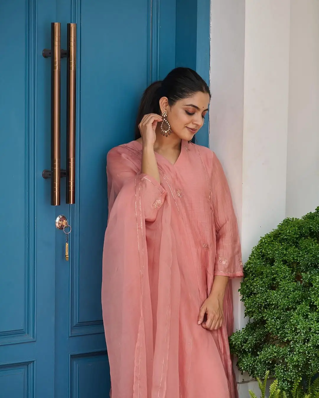 NIKHILA VIMAL STILLS IN PINK GOWN